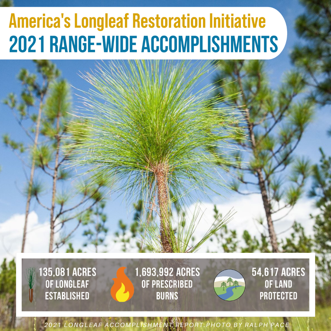 America's Longleaf Restoration Initiative 2021 Range-wide Accomplishments Report